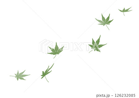 舞う紅葉　水彩　緑 126232085