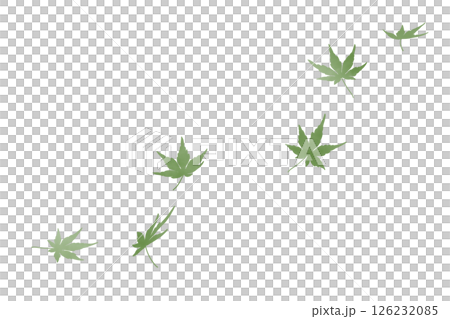 舞う紅葉　水彩　緑 126232085