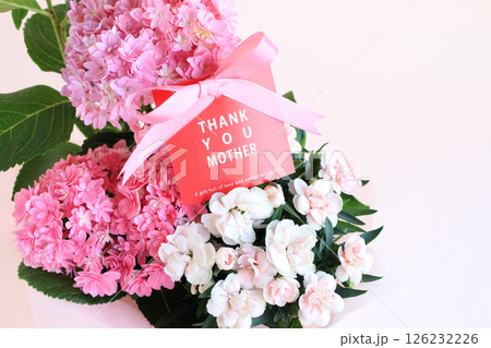 母の日の鉢植え 紫陽花・ダイアンサス 母の日の鉢植え 紫陽花・ダイアンサス 126232226