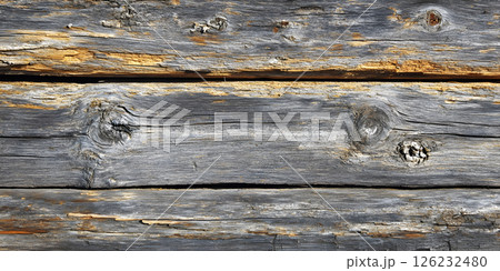 Weathered Wooden Log Texture with Natural Knots and Cracks Weathered Wooden Log Texture with Natural Knots and Cracks 126232480