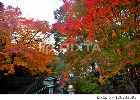 関東・紅葉の大山詣り・大山阿夫利神社駅から進むイメージ、紅葉越しに見る下社・神奈川県伊勢原市(2) 126232695