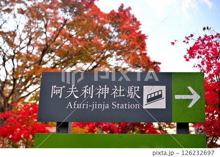 関東・紅葉の大山詣り・大山阿夫利神社駅のイメージ、下社の境内にある駅の案内・神奈川県伊勢原市(2) 126232697