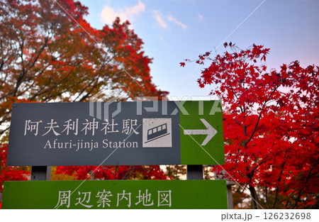 関東・紅葉の大山詣り・大山阿夫利神社駅のイメージ、下社の境内にある駅案内・神奈川県伊勢原市(3) 126232698