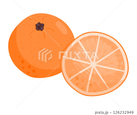 Ripe juicy orange. A whole fruit and half a piece. Citrus fruits. Vector illustration is isolated on a white background. 126232949