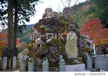 関東・紅葉の大山詣り・大山阿夫利神社、日本三大獅子山のひとつ、下社の大山獅子・神奈川県伊勢原市(1) 126232974