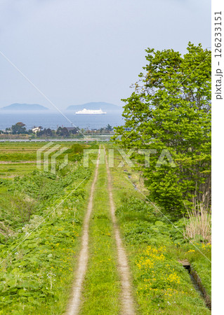 春の田舎の景色 海の見える一本道の農道とフェリー 春の田舎の景色 海の見える一本道の農道とフェリー 126233151