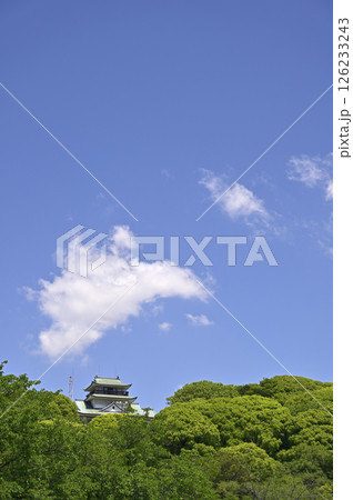 新緑の小牧山と小牧山城模擬天守/南面(愛知県小牧市) 新緑の小牧山と小牧山城模擬天守/南面(愛知県小牧市) 126233243