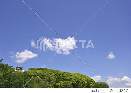 新緑の小牧山と小牧山城模擬天守/南面(愛知県小牧市) 新緑の小牧山と小牧山城模擬天守/南面(愛知県小牧市) 126233247