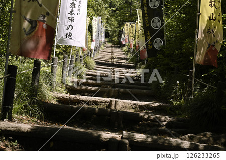 直線が珍しい 織田信長が築いた小牧山城の「大手道」（愛知県小牧市） 126233265