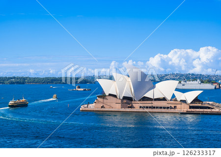 シドニー　ハーバーブリッジから見るオペラハウス 126233317