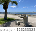沖縄の海沿いにある水飲み場とヤシの木の風景 126233323