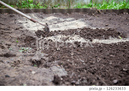 Loosening the soil with a rake and deoxidizing the soil with dolomite flour in the garden in spring, close-up. Copy space for text, neutralizing soil 126233633