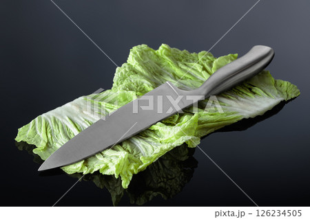 Fresh Chinese cabbage and knife on a black background. Fresh Chinese cabbage and knife on a black background. 126234505
