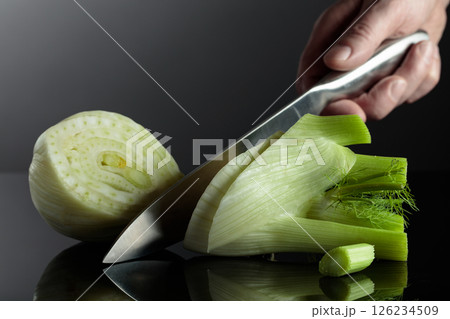 Hand with knife and cut fennel bulb. Hand with knife and cut fennel bulb. 126234509