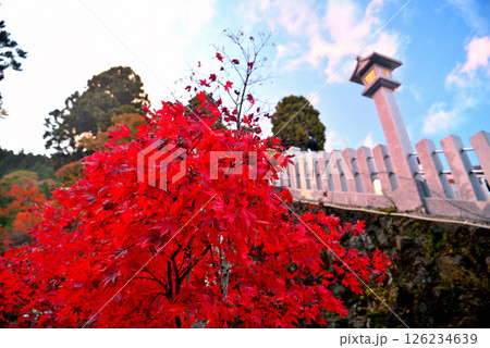 関東・紅葉の大山詣り・大山阿夫利神社下社、紅葉と夕陽に彩られた階段のイメージ・神奈川県伊勢原市(1) 126234639