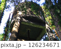 森の中の貯水タンク 126234671