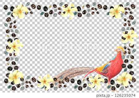 Papaya seeds, exotic bird, yellow flowers watercolor frame isolated on white. Hand-painted tropical border perfect for cafe branding, packaging, menu design, invitations, and social media graphics 126235074