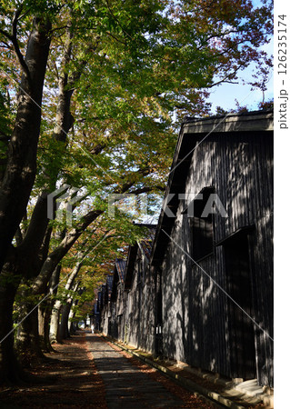酒田市山居倉庫とケヤキ並木 126235174