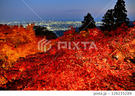 関東・紅葉の大山詣り・大山阿夫利神社下社の紅葉ライトアップと江ノ島方面の夜景・神奈川県伊勢原市(2) 126235289