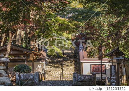 袋井市にある参道から見た新緑に包まれた油山寺の礼拝門の風景(静岡県) 126235322
