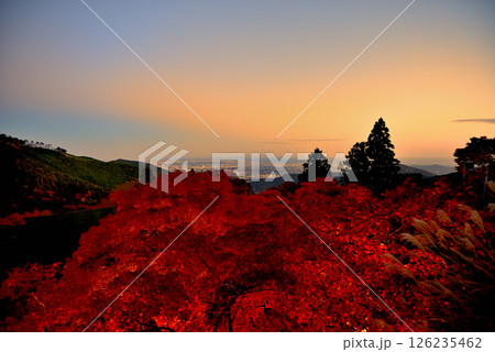 関東・紅葉の大山詣り・大山阿夫利神社、紅葉ライトアップと江ノ島方面の夕景・神奈川県伊勢原市(1) 126235462
