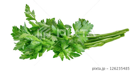 bunch of fresh green parsley leaf isolated on white background 126235485