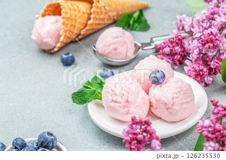 frozen gelato with fresh berries waffle cones, Scoop of purple ice cream and fresh blueberries, copy space frozen gelato with fresh berries waffle cones, Scoop of purple ice cream and fresh blueberries, copy space 126235530