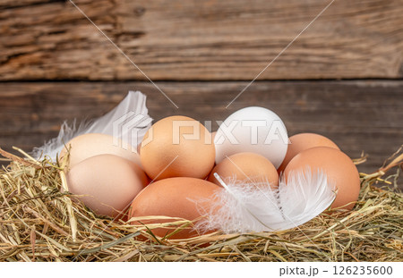 Nest of colorful fresh eggs on wooden background in an organic farm. copy space Nest of colorful fresh eggs on wooden background in an organic farm. copy space 126235600
