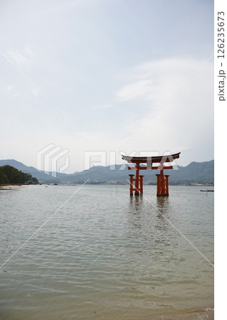 海に浮かぶ鳥居 海に浮かぶ鳥居 126235673