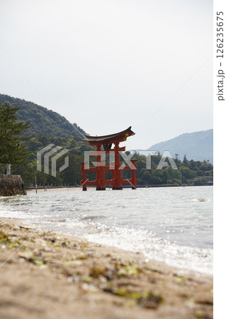 海に浮かぶ鳥居 126235675