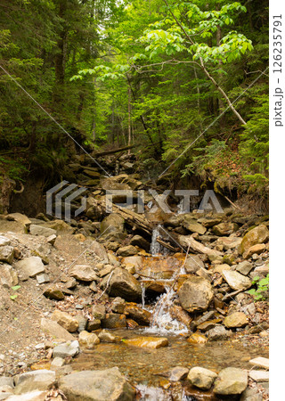 Mountain stream surrounded by lush greenery with scattered rocks in a tranquil forest setting during daylight hours Mountain stream surrounded by lush greenery with scattered rocks in a tranquil forest setting during daylight hours 126235791