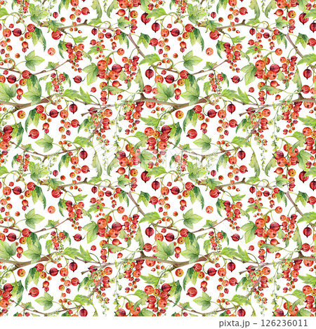 Currant gooseberry with long flower clusters, green leaves hand drawn in watercolor, garden berry hanging on branches. Isolated seamless pattern. Craft drinks, grocery, background wallpaper, packaging Currant gooseberry with long flower clusters, green leaves hand drawn in watercolor, garden berry hanging on branches. Isolated seamless pattern. Craft drinks, grocery, background wallpaper, packaging 126236011