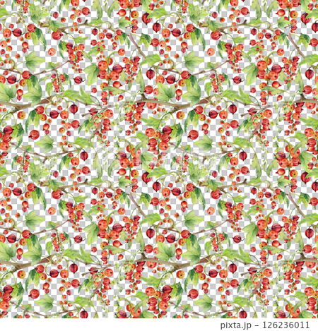 Currant gooseberry with long flower clusters, green leaves hand drawn in watercolor, garden berry hanging on branches. Isolated seamless pattern. Craft drinks, grocery, background wallpaper, packaging Currant gooseberry with long flower clusters, green leaves hand drawn in watercolor, garden berry hanging on branches. Isolated seamless pattern. Craft drinks, grocery, background wallpaper, packaging 126236011