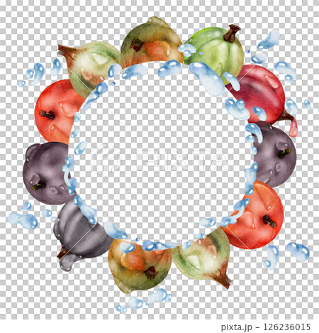 Currant gooseberry closeup in water splash with dew drops, ripe garden berry juneberry casseille jostaberry hand drawn in watercolor. Isolated wreath frame. Organic food drink, fresh grocery store 126236015