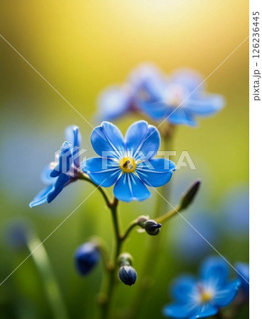 Delicate blue flowers stretch towards the golden sunlight, their vibrant petals glistening with dew. Nature awakens as spring unfolds, creating a peaceful atmosphere among the greenery Generative AI 126236445