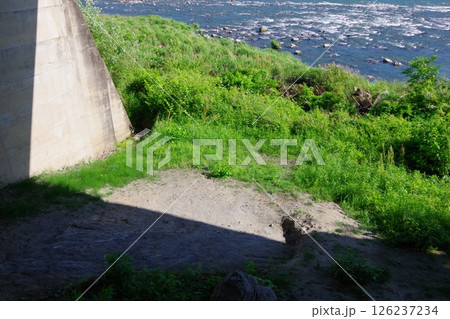 徳島県三好市 太刀野の中央構造線 徳島県三好市 太刀野の中央構造線 126237234