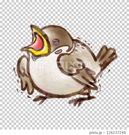 A sparrow chick opening its mouth diagonally upwards (ink pen watercolor style) 126237249