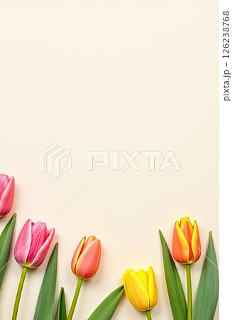 Colorful bouquet of tulips arranged on a light background showcasing a variety of vibrant colors during springtime 126238768