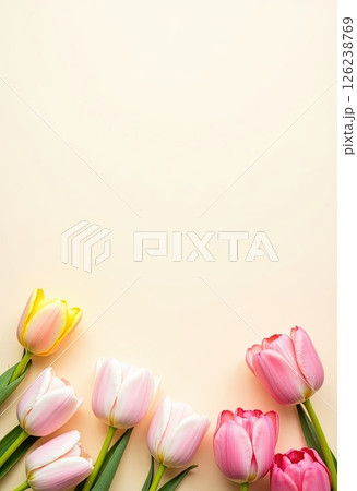 Floral arrangement with various tulips displaying vibrant colors on a simple background in a bright setting 126238769