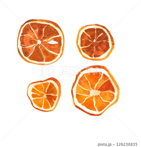 Watercolor hand painted dried oranges. Citrus dried fruits 126238835
