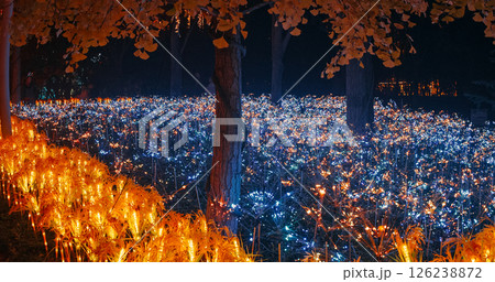 Beijing, China. Zigong Lantern Festival In Beijing. Amazing Glowing Lanterns In Form Of Lighting flowerss. Lantern Festival In Beijing Garden Expo Park Beijing, China. Zigong Lantern Festival In Beijing. Amazing Glowing Lanterns In Form Of Lighting flowerss. Lantern Festival In Beijing Garden Expo Park 126238872