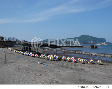 鹿児島県・指宿の砂むし温泉 鹿児島県・指宿の砂むし温泉 126239024