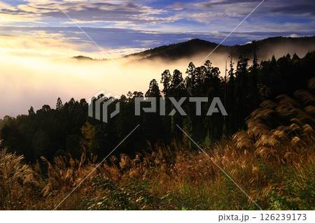 岩手県奥州市 夜明けの風景 岩手県奥州市 夜明けの風景 126239173