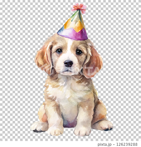 Dog sit  wearing a birthday hat  Minimal Watercolor White Background 126239288