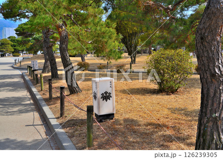 中部・松本城・松本城公園の眺め・長野県松本市(2) 126239305