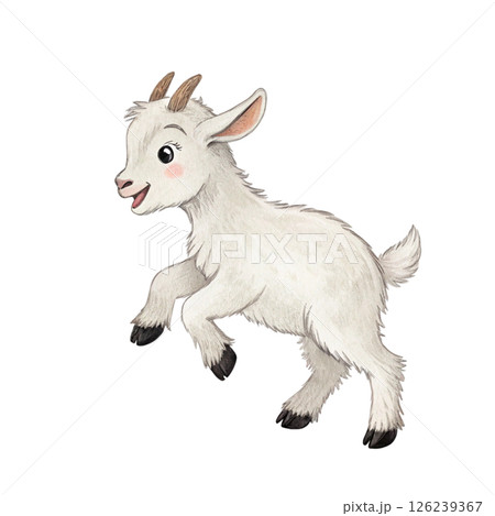 Cute animals, children's book style White Background Cute animals, children's book style White Background 126239367