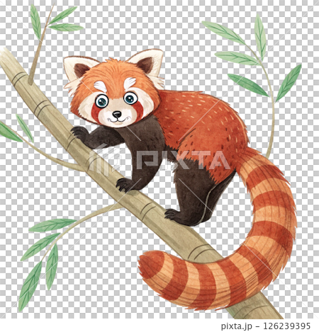 Cute animals, children's book style  White Background 126239395