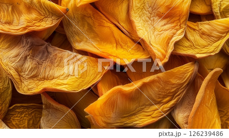 Dried mango organic botanical harvesting healthy real food dehydrated 126239486