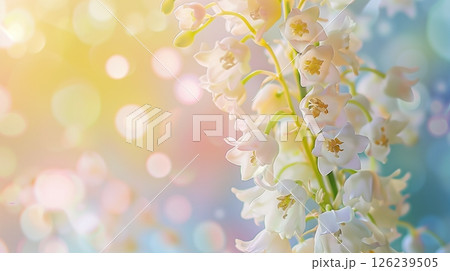A stunning vibrant Lily of the valley with soft blur background tranquilly 126239505