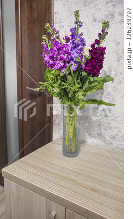 Bouquet of delicate lilac pink and red matthiola flowers on a light background. Bouquet of delicate lilac pink and red matthiola flowers on a light background. 126239797